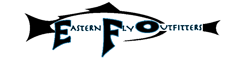 EFO Banner